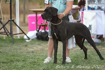 Ida Of Love Generation