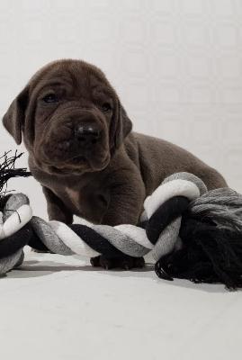 Buzz von der Tausendjhrigen Linde