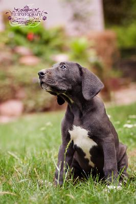 Anastasia vom Olbitzbach