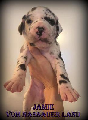 Jamie vom Nassauer Land