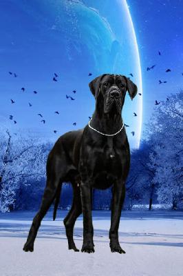 Diamonds Are A Girl`s Best Friend Perseidy Kasjopei