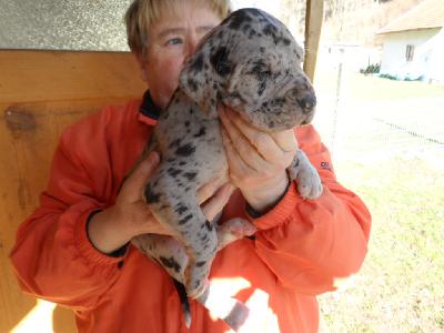 Quality vom Sch�ntal