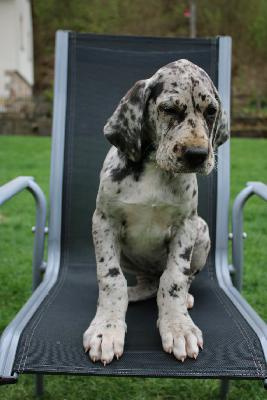 Quality vom Sch�ntal