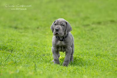 W-Tyras von der Wolfshöhle