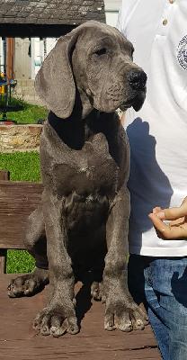 Hut ab Vom Hause Wagner