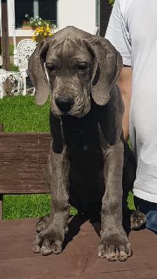 Hut ab Vom Hause Wagner