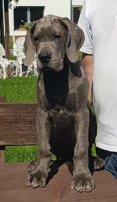 Hut ab Vom Hause Wagner