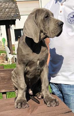 Instagram Vom Hause Wagner