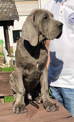 Instagram Vom Hause Wagner