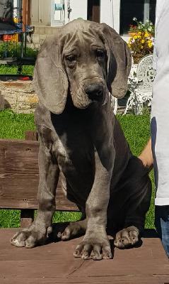 In flagranti Vom Hause Wagner