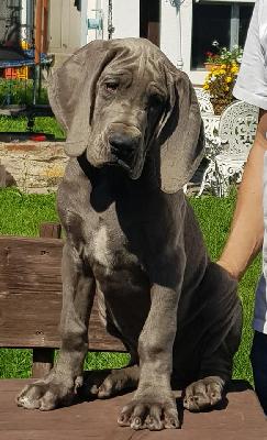 In flagranti Vom Hause Wagner