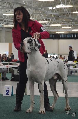 Portos of a Great Stars Team