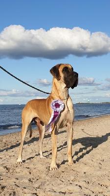 Ettore Brioche del Parco dei Lagoni