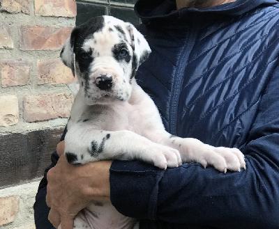 Florian Vom Ganschower Land