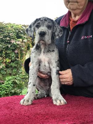 Fiete Vom Ganschower Land