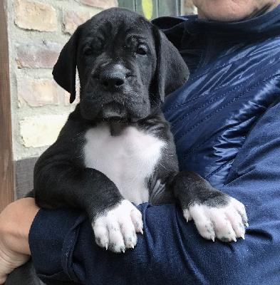 Finja Vom Ganschower Land