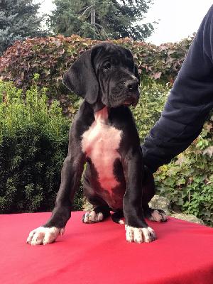 Finja Vom Ganschower Land