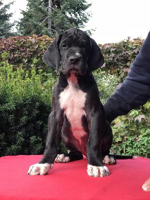 Finja Vom Ganschower Land