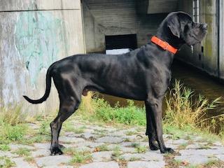 Freeman Vom Herstallturm