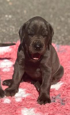 Georgia Vom Herstallturm