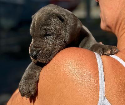 Gisele-Ava Vom Herstallturm