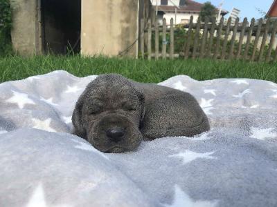 Jette Joop Vom Hause Wagner
