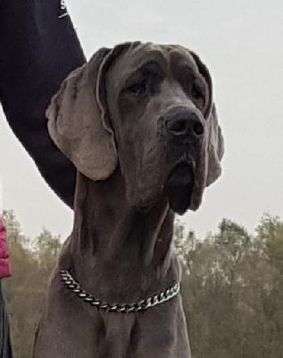 Jette Joop Vom Hause Wagner