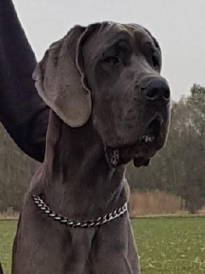 Jette Joop Vom Hause Wagner