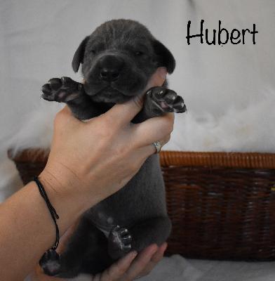 Hubert vom Altmühlerhof