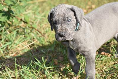 Hurricane vom Altmühlerhof