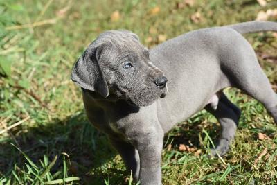 Hurricane vom Altmühlerhof
