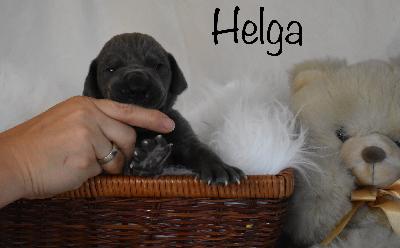 Helga vom Altmühlerhof