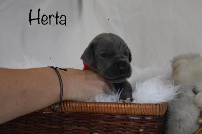 Herta vom Altmühlerhof