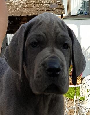 Kunststück Vom Hause Wagner