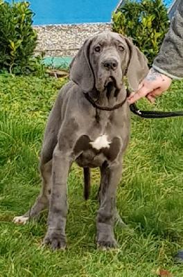 Knutschkugel Vom Hause Wagner