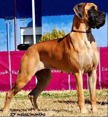 Inka Della Rupe Del Basso