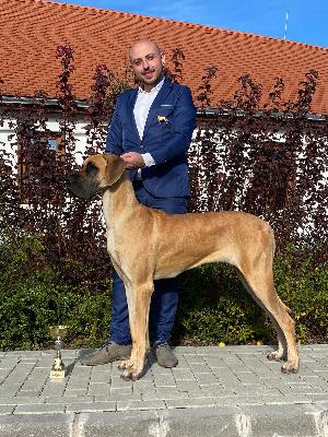 Ch Ninci van `t Broekske