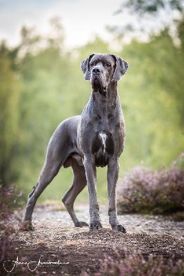 Ch Warus von der Kupferhütte