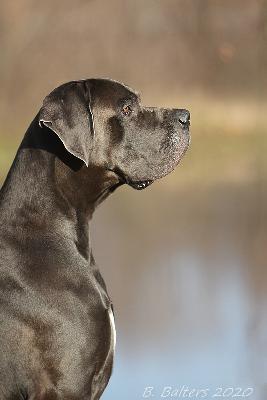 Ch Warus von der Kupferhütte