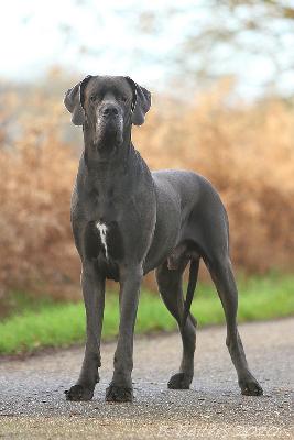 Ch Warus von der Kupferhütte