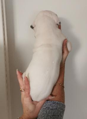 Freddy Von Siedlinghausen