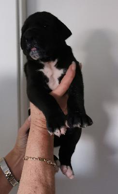 Finley Von Siedlinghausen