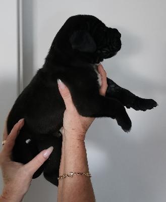 Finley Von Siedlinghausen