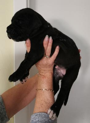 Finley Von Siedlinghausen