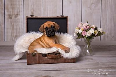 X-Berta VON DER WOLFSHÖHLE