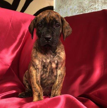 Xtra 4 you VON DER WOLFSHÖHLE