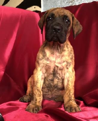 Xanthi VON DER WOLFSHÖHLE