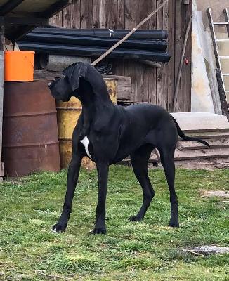 Finja Black-Mountains-Racing