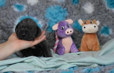 Ignatz vom Altmuehlerhof