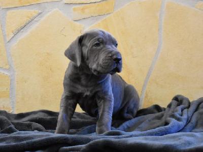 Ignatz vom Altmuehlerhof